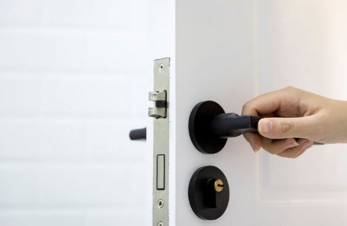 #乱入# 生肖与颜色随手拈来：