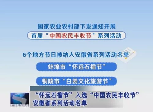石榴王评选全过程直播—10万人围观！?