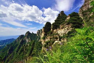 铜川玻璃栈道：挑战极限， 体验不一样的旅行