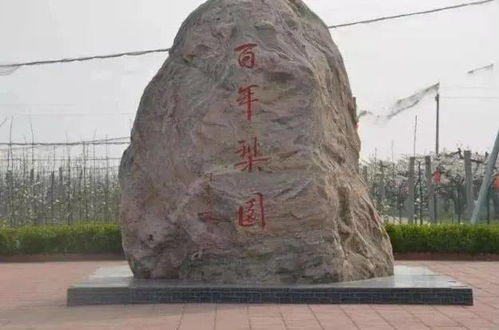 3. 衡水湖国家地区湿地公园 - 北方最较大淡水湖畔风光无限美良好处所~!