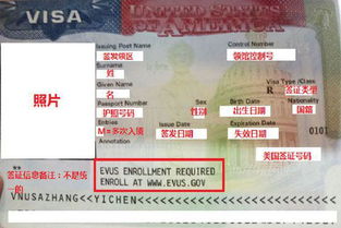 二、 沈阳美国签证面签前期准备
