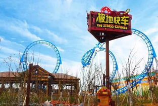 那个让人又爱又恨的2019年夏天