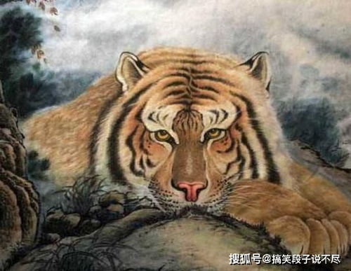 2026年属虎女性在婚姻中最佳的伴侣配对是哪些？
