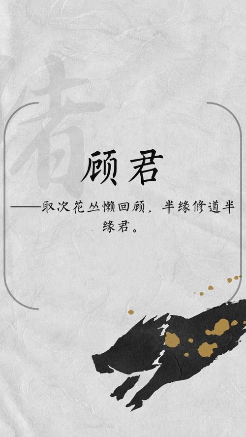 借助古诗词， 给名字增添诗意
