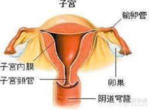 噪音一：我也有过同样的问题