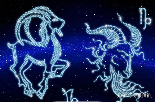 网友实测：这些平台绝对能满足你挑剔的审美需求