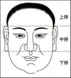 2.2 命理八字的作用于