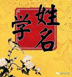 修字取名有哪些不吉利的含义和起名时应该避免的忌讳？