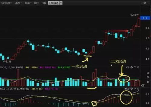 龙年大爆炸！2026年属龙人狂喜指南