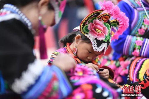 彝族白族融合节庆，传统现代共舞爆款