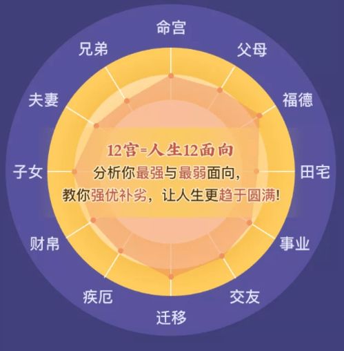 一、 整体大盘概览：混沌与机遇并存