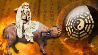 为什么三毛的八字命运会被改写，其背后原因是什么？