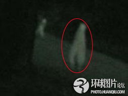 风水逆转：逆时针旋转八卦盘？