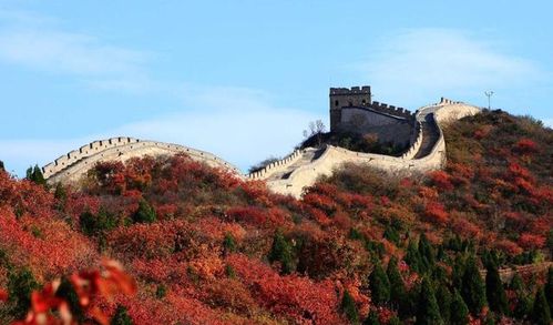 一些吐槽和感悟