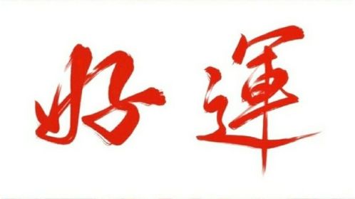 身弱官旺财旺的男命，如何调整运势以平衡官旺财旺的影响？