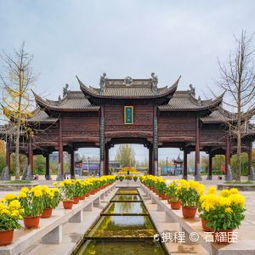 # 一、门票市场价格揭晓：到底市场价格较高不市场价格较高？真实的不需要吗？#