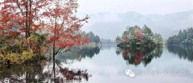 蕉岭长潭：红叶不是唯一的风景
