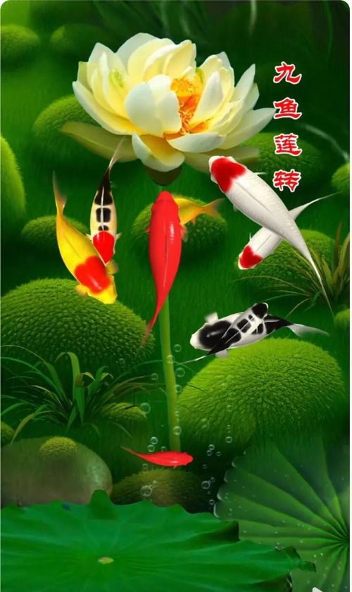 1）选取吉祥字