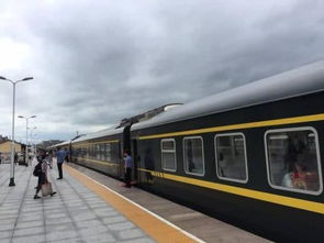 请问在惠州乘坐K446次列车，应该去哪个火车站上车呢？