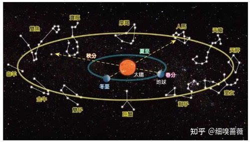 生肖星座对对碰，碰出一脸灰