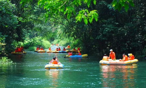 伊水峡：“晒不黑”的森林漂， 但7月得抢早场