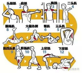 梦见恐高怎么办？心理专家如何解读并帮助克服？
