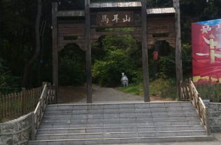 门票市场价格到底咋样？