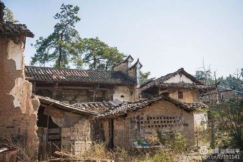 这里住着个