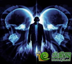 怎么才能让蝴蝶来你家？