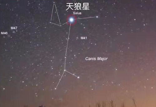 那个神秘的天府星到底藏哪儿了？