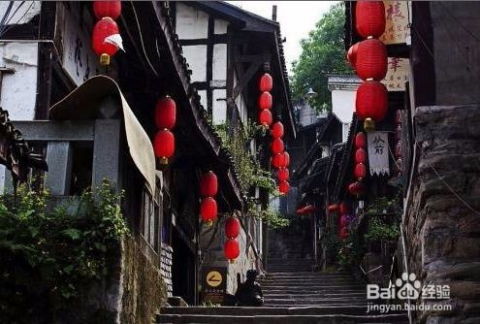 Day 2：磁器口古镇 + 长江索道 + 南山一棵树（乱写版）