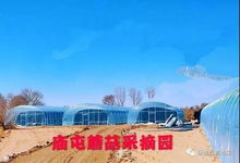 那种期待的感觉，是不是很美妙？