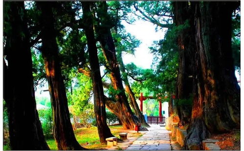 五一假期去平度茶山景区门票只要XX元，这样的超值优惠，你打算约吗？