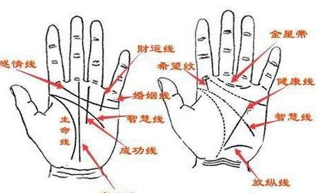 2. 平直线——早年苦中求出头