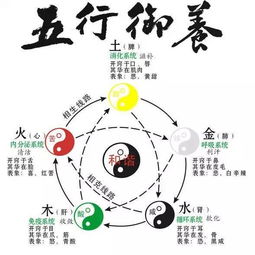 双象五行属什么命格？五行命格详解图解大全是什么意思？
