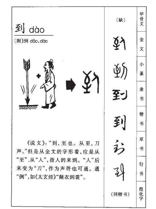 鸢字的基本解析：从笔画到五行属性