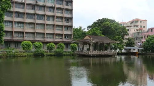 震惊！2026年去黄埔古港的人都被骗惨了