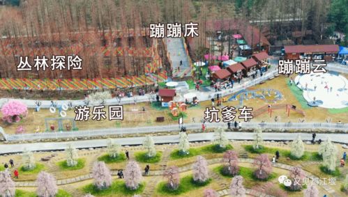 第四站：文化底蕴展示中心