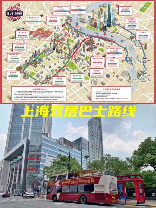 下午：豫园探索，感受古典园林的韵味(清凉一夏！)