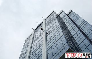 哪家贸易公司名字文雅又动听，让人过目难忘？