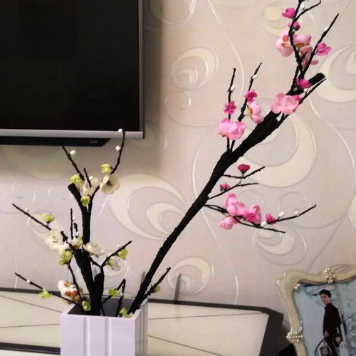 家有干花好不好,家里有干花不好吗