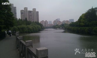 塘桥公园：一个大型植物坟场