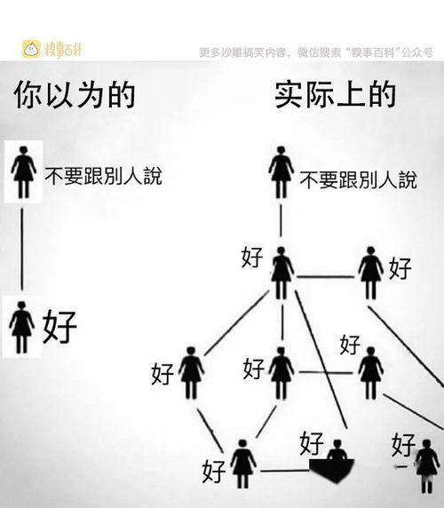 前言：命运之辩，情感之争