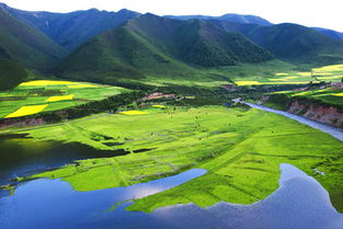 第二天：高原反应与市场的喧嚣