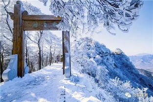 三、那些不得不去的景点(虽然有的要花钱)