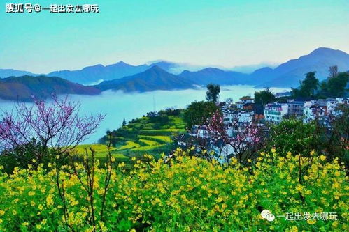 四、白山市区及周边——桃李满园 + 山间清泉 “天然泳池”
