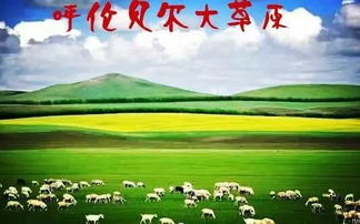 呼伦贝尔五日游， 解锁草原秘境与蒙古风情