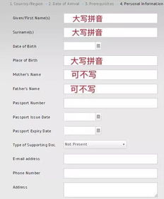签证大乌龙：电子签3分钟搞定？笑死