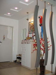 生肖定制：你的专属幸运色是什么？(信则有)