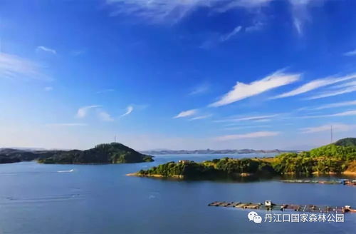 太极湖的惊天秘密